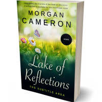 3D view of Premade Nature Book Cover - Deco