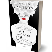 3D view of Premade Poetry Book Cover - Mercury