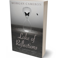 3D view of Premade Surreal Book Cover - Fuscous Gray