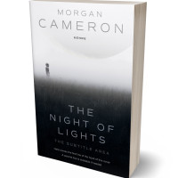 3D view of Premade Fantasy Book Cover - Woodsmoke