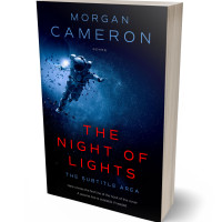 3D view of Premade Science Fiction Book Cover - Black Pearl