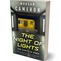 3D view of Premade Mystery & Thriller & Suspense Book Cover - Heavy Metal