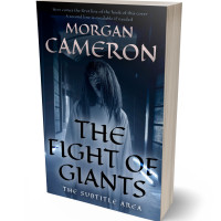 3D view of Premade Horror Book Cover - Firefly