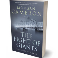 3D view of Premade Mystery & Thriller & Suspense Book Cover - River Bed