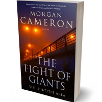 3D view of Premade Mystery & Thriller & Suspense Book Cover - Copper