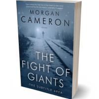 3D view of Premade Mystery & Thriller & Suspense Book Cover - Fiord