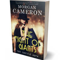 3D view of Premade Chick Lit Book Cover - Thunder