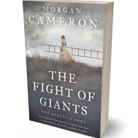 3D view of Premade Historical Book Cover - Scarpa Flow