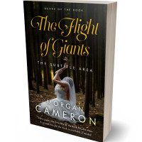 3D view of Premade Paranormal & Urban Book Cover - Eternity