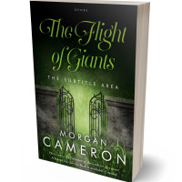 3D view of Premade Fantasy Book Cover - Hunter Green