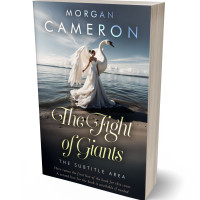 3D view of Premade Fantasy Book Cover - Outer Space