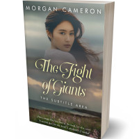 3D view of Premade Romance Book Cover - Ironside Gray