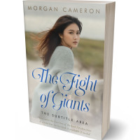 3D view of Premade Romance Book Cover - Cotton Seed #33094 | BookCoverZone