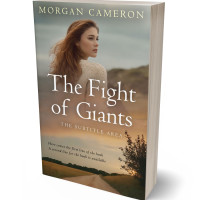 3D view of Premade Romance Book Cover - Arrowtown