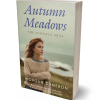 3D view of Premade Teen & Young Adult Book Cover - Eagle