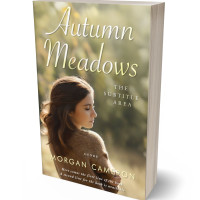 Tablet view of Clay Creek #33102 - Premade Teen & Young Adult Book Cover