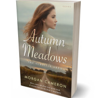 3D view of Premade Romance Book Cover - Arrowtown #33104 | BookCoverZone