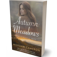 3D view of Premade Teen & Young Adult Book Cover - Coffee