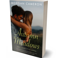 3D view of Premade Romance Book Cover - Dune