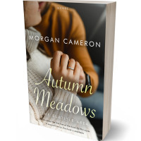 3D view of Premade Romance Book Cover - Nomad