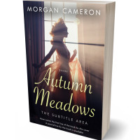 3D view of Premade Romance Book Cover - Akaroa