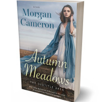 3D view of Silver Sand #33125 - Premade Historical Book Cover