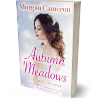 3D view of Premade Romance Book Cover - Mischka