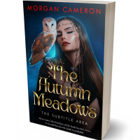 Tablet view of Bunker #33129 - Premade Fantasy Book Cover