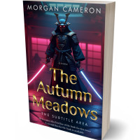 Tablet view of Steel Gray #33138 - Premade Science Fiction Book Cover