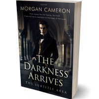 3D view of Premade Historical Book Cover - Woodsmoke