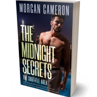 3D view of Premade Erotica Book Cover - Soft Amber