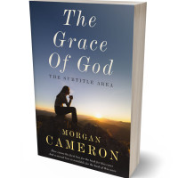 3D view of Premade Nature Book Cover - Charade