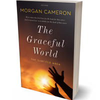 3D view of Premade Religion & Spirituality Book Cover - Anzac