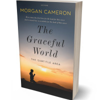 Tablet view of Gold Sand #33219 - Premade Religion & Spirituality Book Cover