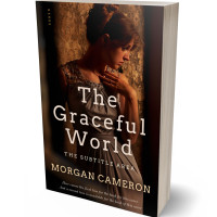 3D view of Premade Literary Fiction Book Cover - Asphalt