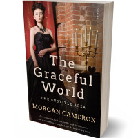 3D view of Premade Mystery & Thriller & Suspense Book Cover - Antique Brass