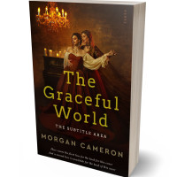 3D view of Graphite #33229 - Premade Historical Book Cover