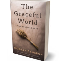 Tablet view of Sandrift #33238 - Premade Cookbooks & Food & Wine Book Cover