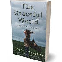 3D view of Premade Teen & Young Adult Book Cover - Gull Gray