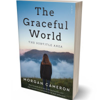 3D view of Premade Teen & Young Adult Book Cover - Ship Cove