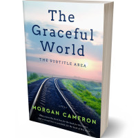 Tablet view of Big Stone #33244 - Premade Travel Book Cover