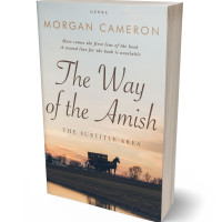 3D view of Premade Travel Book Cover - Wafer