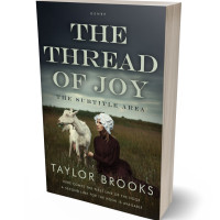 3D view of Premade Historical Book Cover - Rangitoto