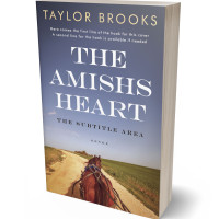 Tablet view of Storm Gray #33283 - Premade Literary Fiction Book Cover