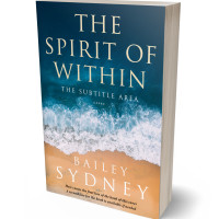 Tablet view of Teal Blue #33317 - Premade Travel Book Cover