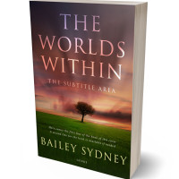 Tablet view of Birch #33327 - Premade Literary Fiction Book Cover