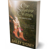 3D view of Premade Teen & Young Adult Book Cover - Lisbon Brown