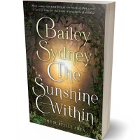 3D view of Premade Fantasy Book Cover - Birch