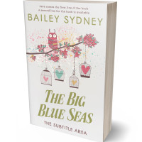 3D view of Premade Poetry Book Cover - Cararra