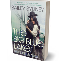 3D view of Premade Romance Book Cover - Tasman